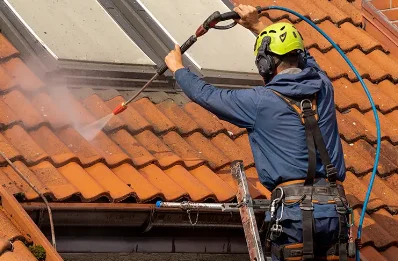 Démoussage et hydrofuge de toiture à Guillonville